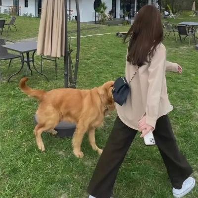 执到宝粤语
