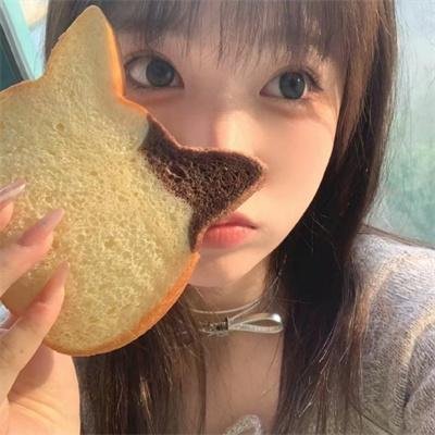 捉贼记